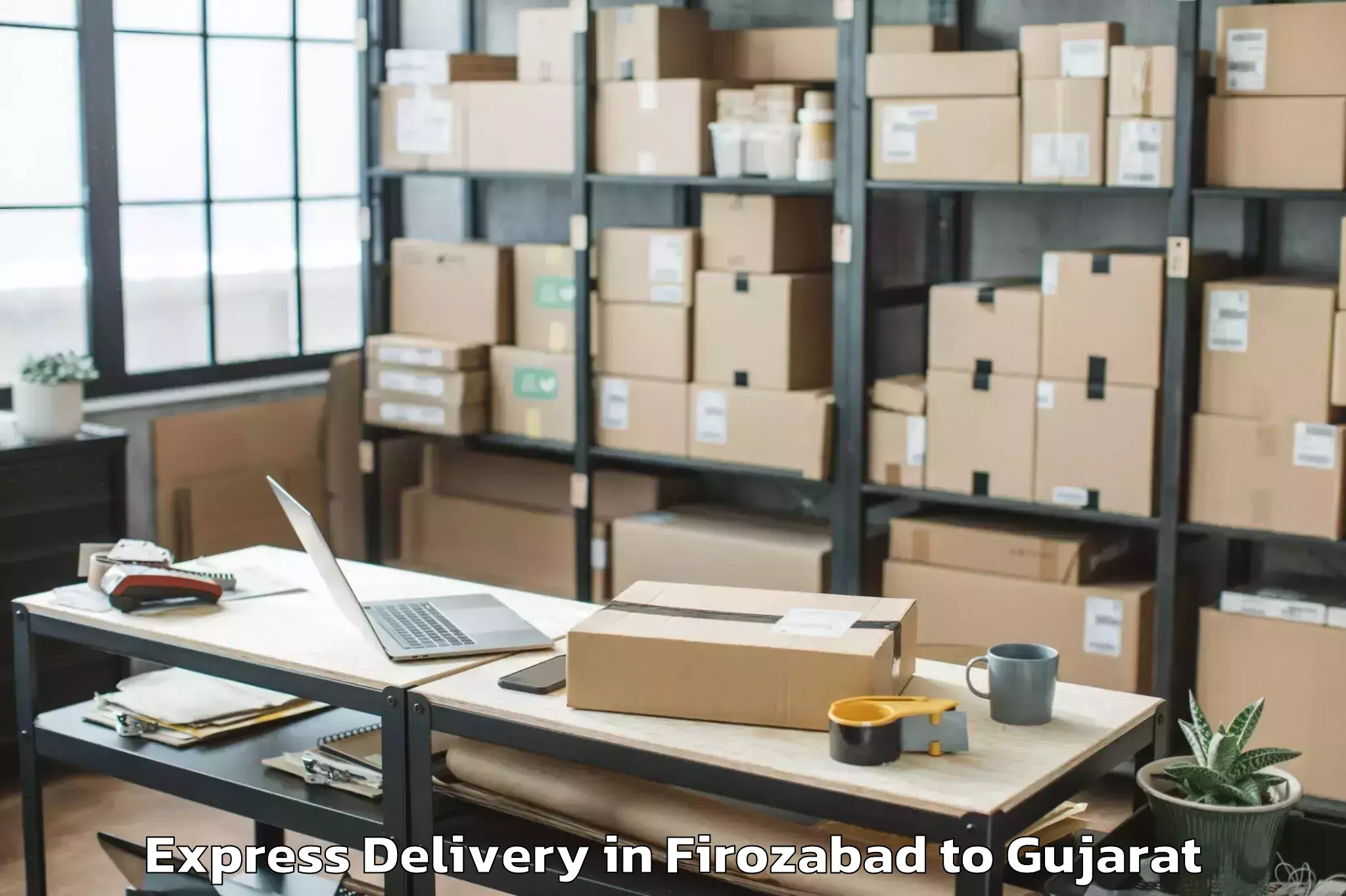 Professional Firozabad to Manavadar Express Delivery